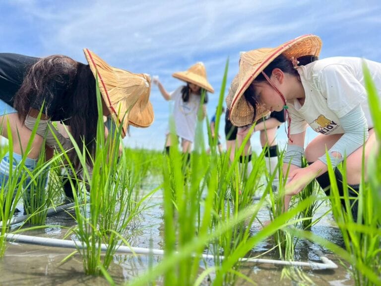 Read more about the article 宜蘭旅遊教學【生物多樣性：植物・山林・人】